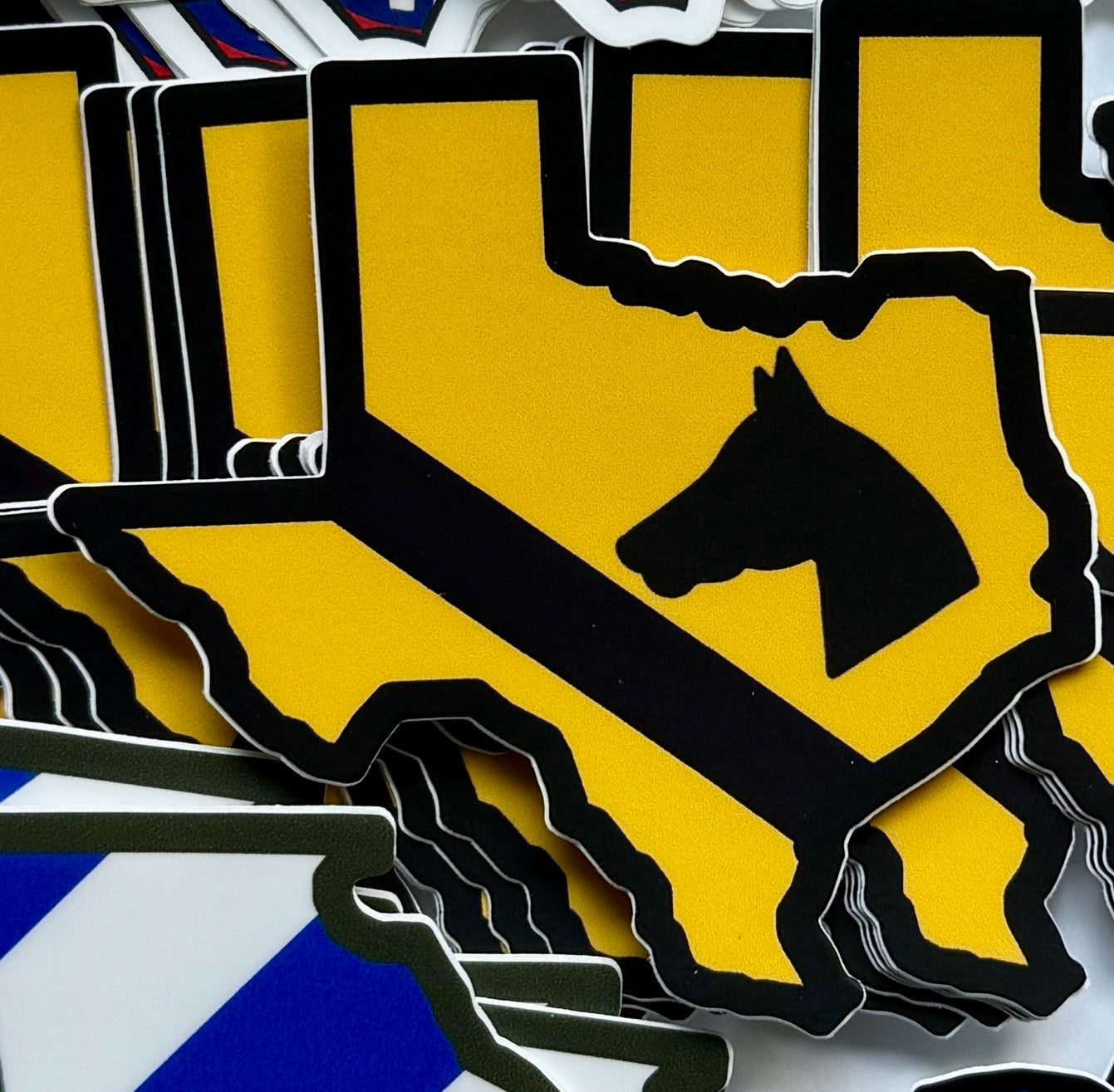 Texas Sticker