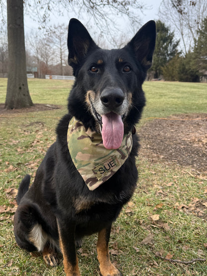 OCP Dog Bandana