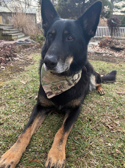 OCP Dog Bandana
